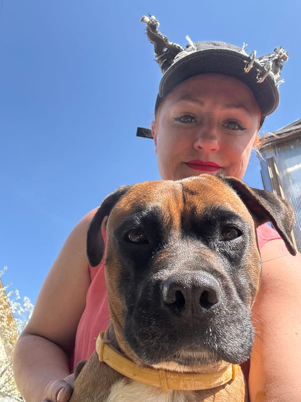 Family breakfast and playtime with boxer dog in Chaikovsky