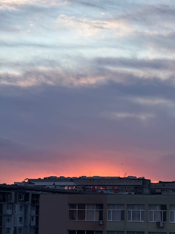 Cat relaxes on Burgas sidewalk during sunset afternoon