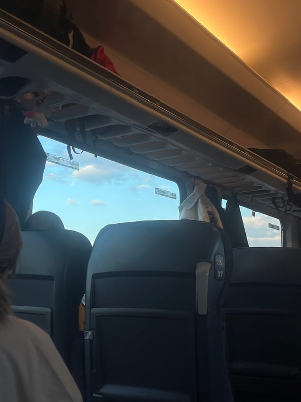 Train passenger documents journey through Verinsko, Bulgaria