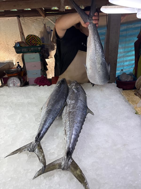 Morning market activity documented in Baan Plai Laem Thailand