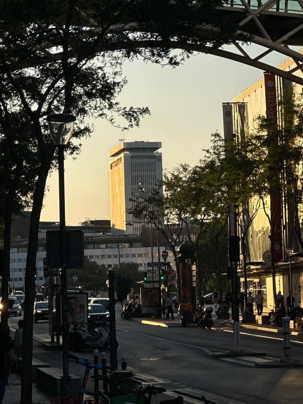 Golden hour sun hits a Paris street at close range