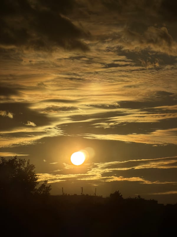 Homemade walnut cookies and a golden sunset in Dreiliņi