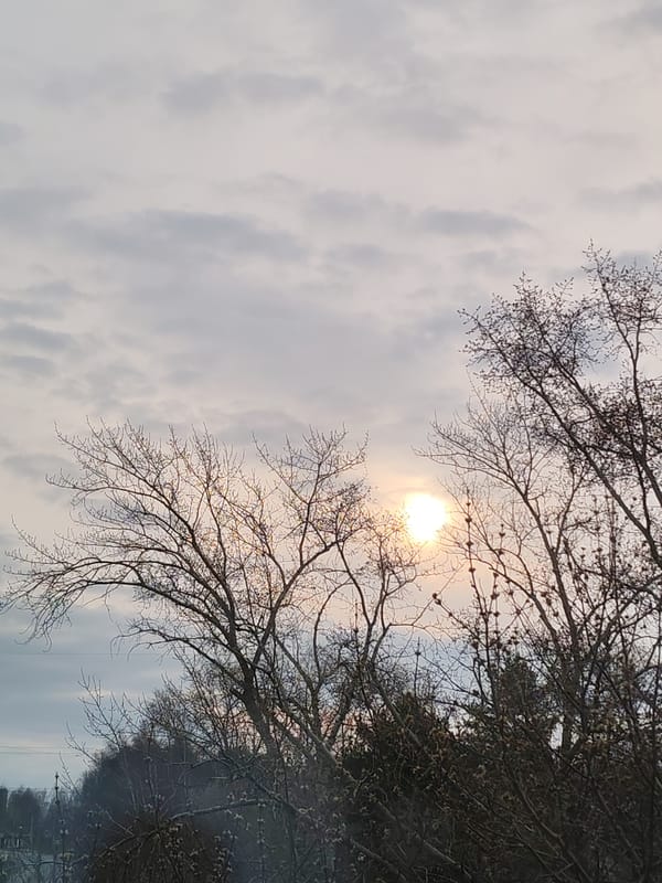 Spring morning sky observed through bare trees in Izhevsk