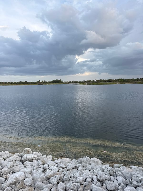 Calm waterfront park at dusk, rocky shore and outdoor dining nearby