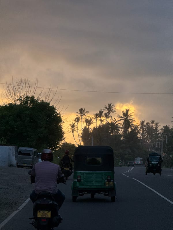 Monkeys and golden hour along Sri Lanka's southern coast