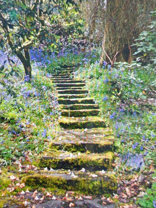 Moss-covered stone staircase with wildflowers spotted in Bankya