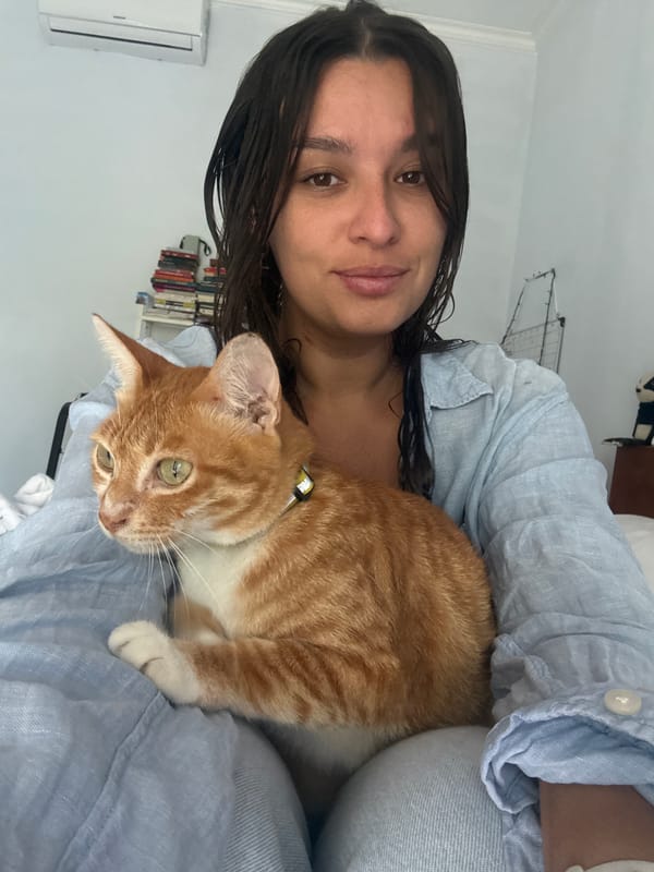 Morning moments with cat captured in Pejeng, Indonesia