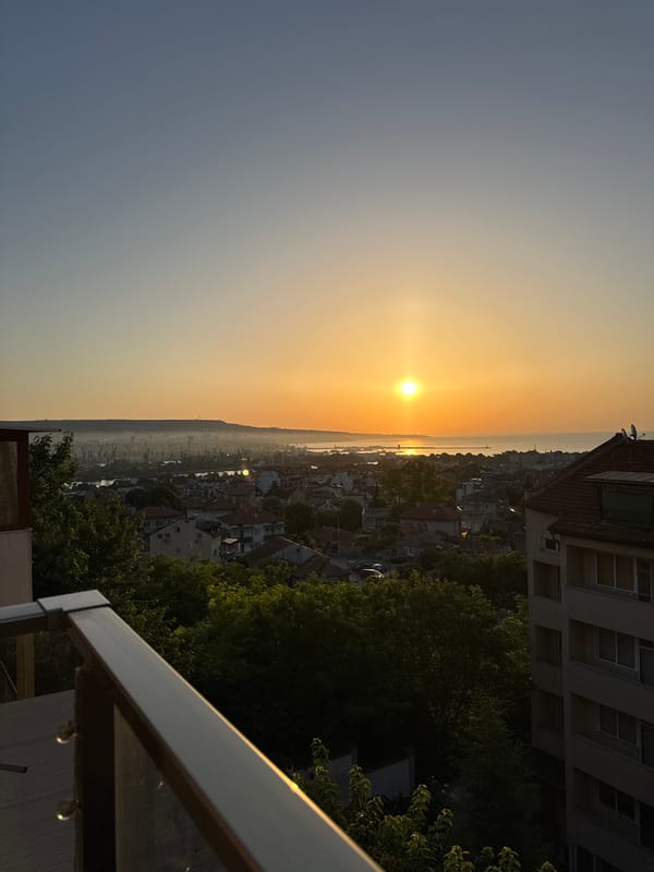Sunset over the Black Sea in Varna, with a garden moment