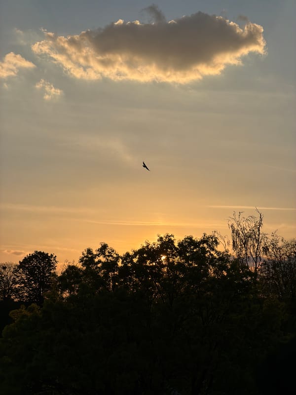 Sunset with illuminated clouds observed in Esch-sur-Alzette, Luxembourg