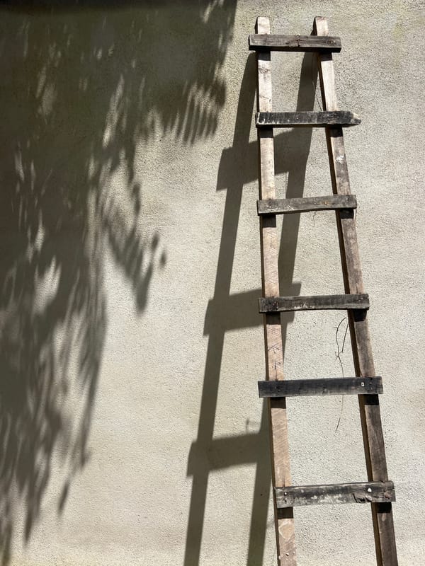 Morning documentation of architectural details and natural elements