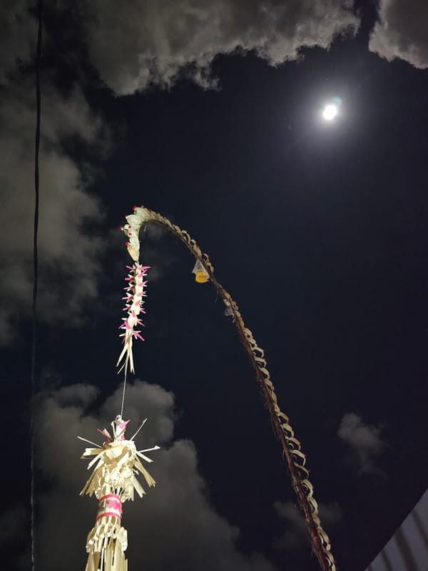 Full moon through palm fronds and clouds, Denpasar night