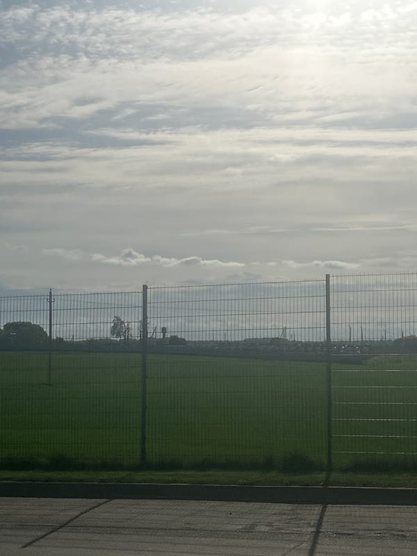 Sports field with artificial turf observed in Belarus