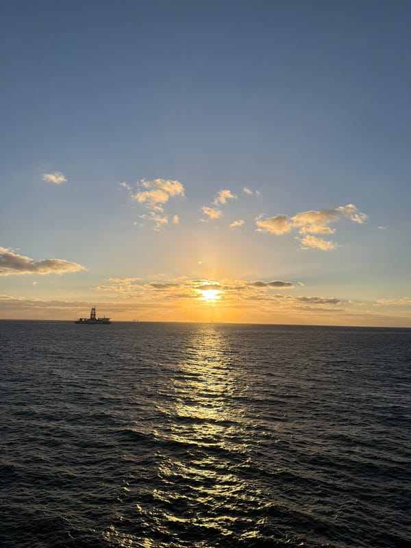 Daytime crescent moon and seabirds observed over Gulf waters