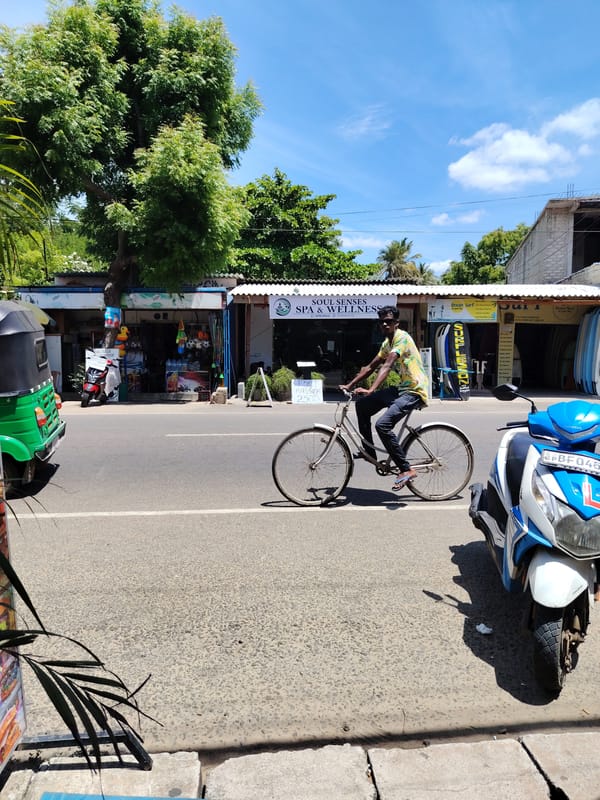 Street cycling, parked rickshaw, and butterfly clusters near fence