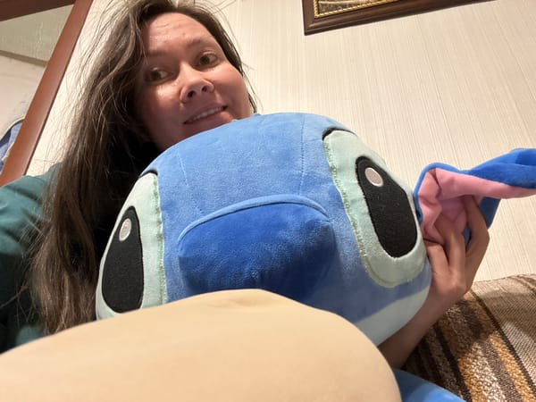 Person shares plush toys and artwork in Izhevsk home