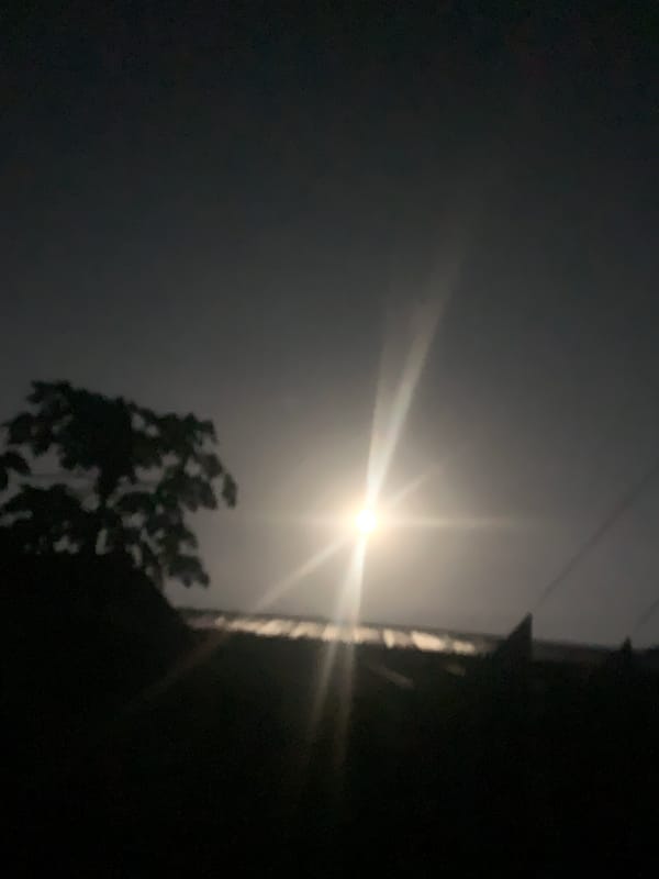 Full moon night in Jos, with a kitten on rocky ground