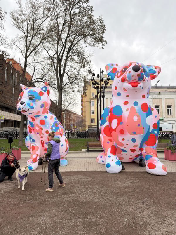 Pet adoption event held in Moscow park with celebrations