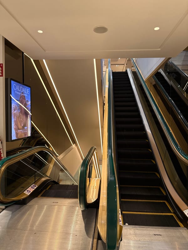 Afternoon scenes captured across Valencia's shopping centers and historic districts