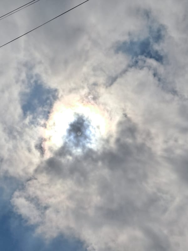 Nature observations captured in Меткомелино: cloudy skies, dandelion seeds