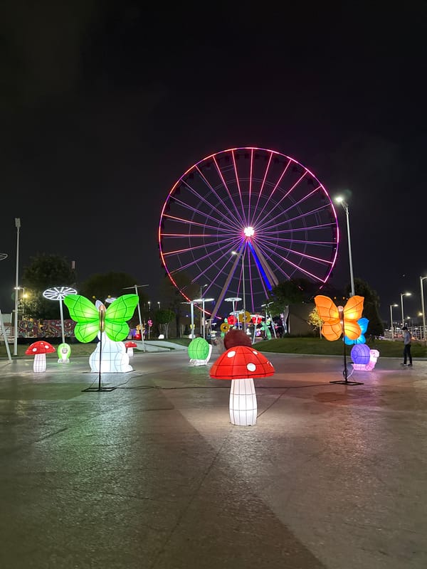Colorful Ferris wheel lights up Puebla park at night