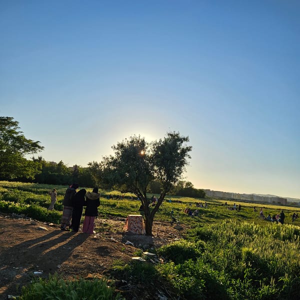 Evening countryside scenes documented around Fez, Morocco outskirts
