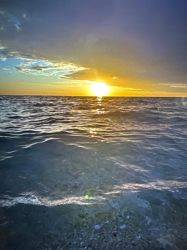 Witness captures beach sunsets and portraits during golden hour