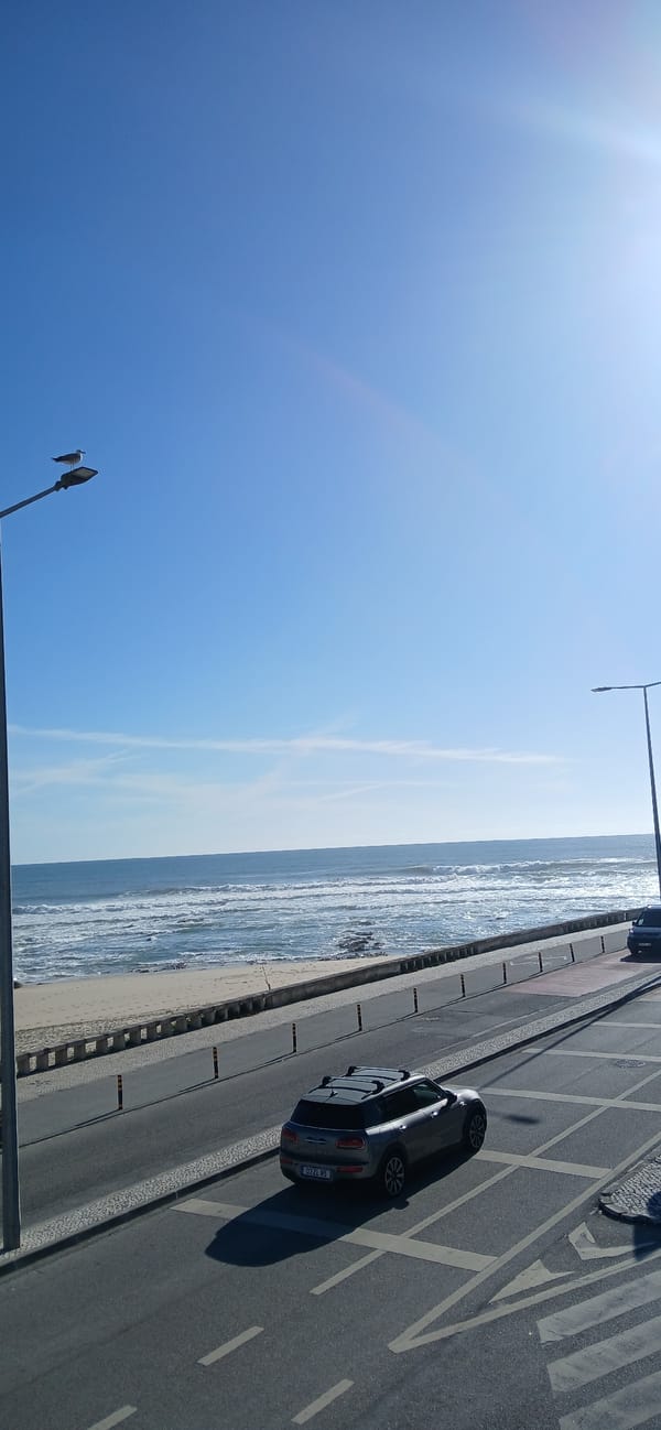 Aerial coastal view captured on sunny April afternoon