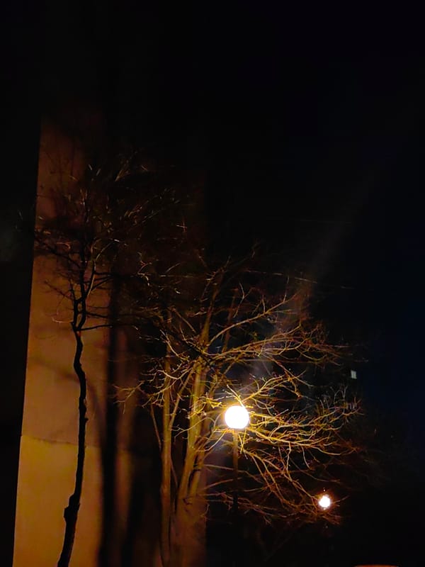 Evening drive through Sofia streets captured by witness