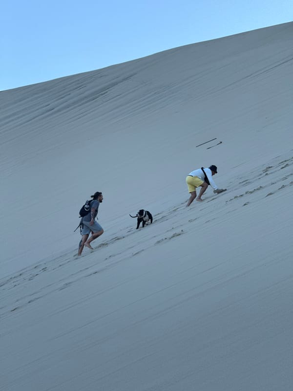 Evening visitors climb Europe's tallest sand dune in France