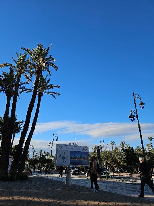 Afternoon stroll through Marrakesh parks and streets documented