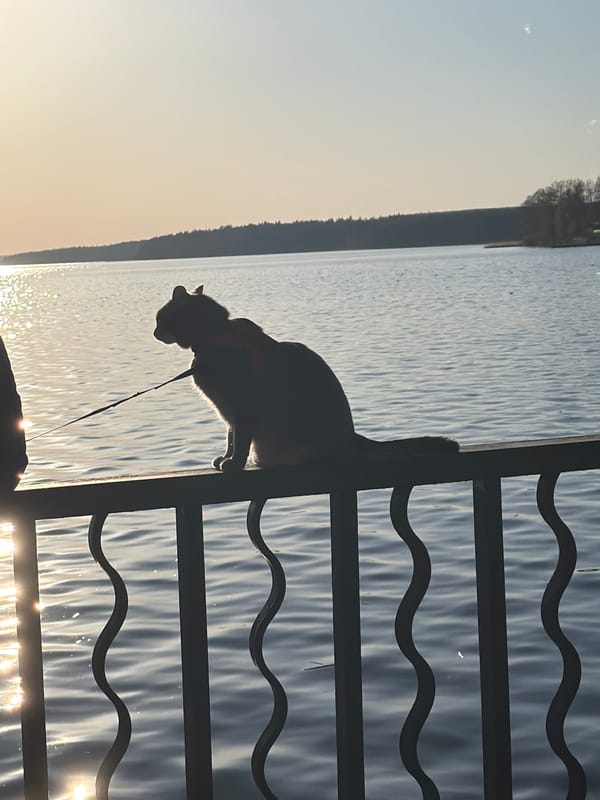 Weekend waterfront activities captured along Votkinsk Reservoir, Russia