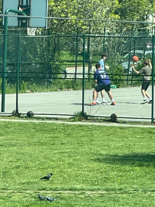 Sofia residents captured playing basketball, working indoors Sunday afternoon