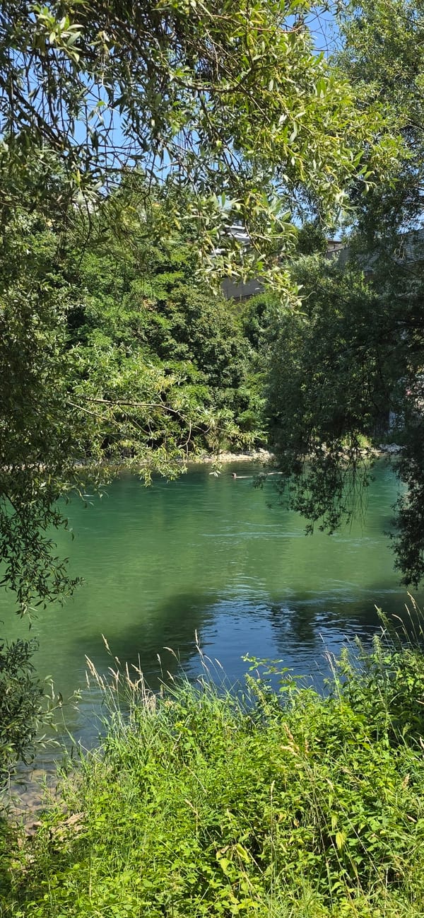Lazy summer morning along Zurich's green riverbanks