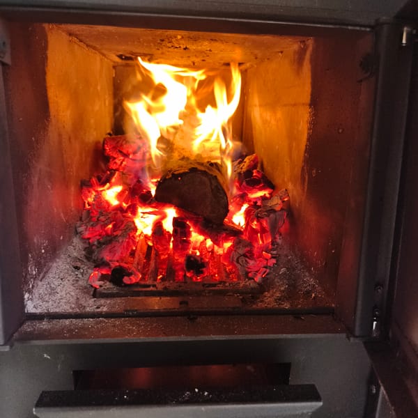 Dacha day in Chaikovsky: sauna, shashlik, and a muddy Samoyed