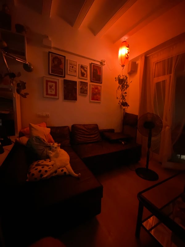 Barcelona resident captures quiet evening at home