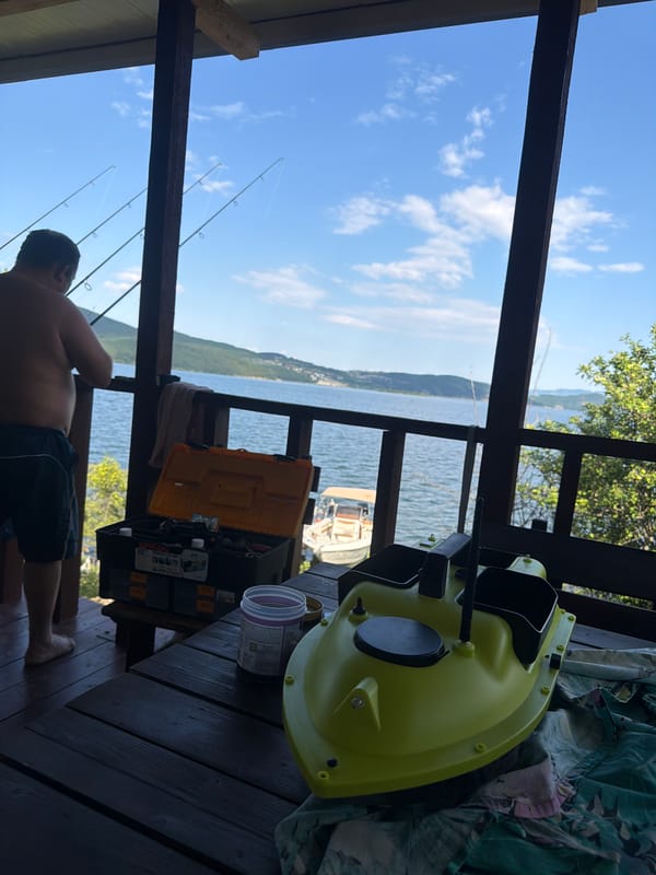 Lazy afternoon at a lakeside dock in Zvanika, Bulgaria