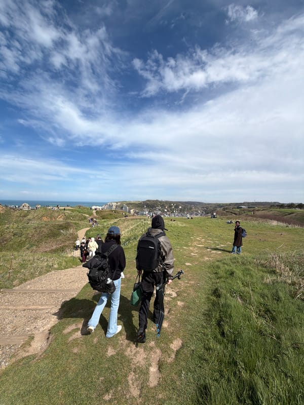 Two visitors spotted on Étretat cliffs under sunny skies