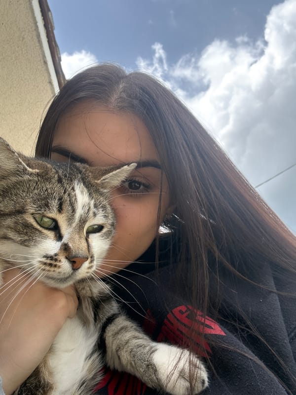 Woman photographed with cat, taking mirror selfie in Polena