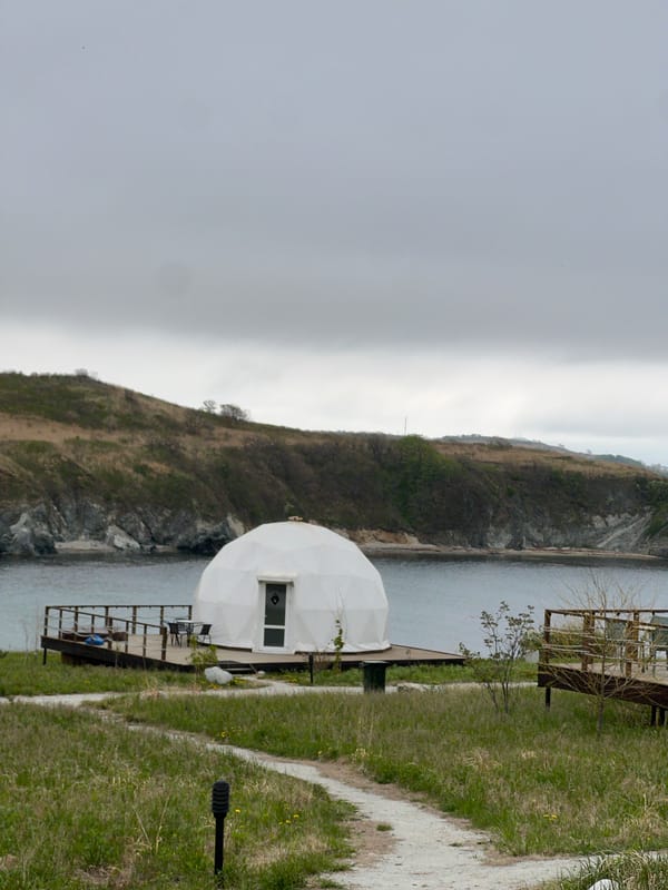 Person approaches waterfront dome structures in Zarubino, Russia