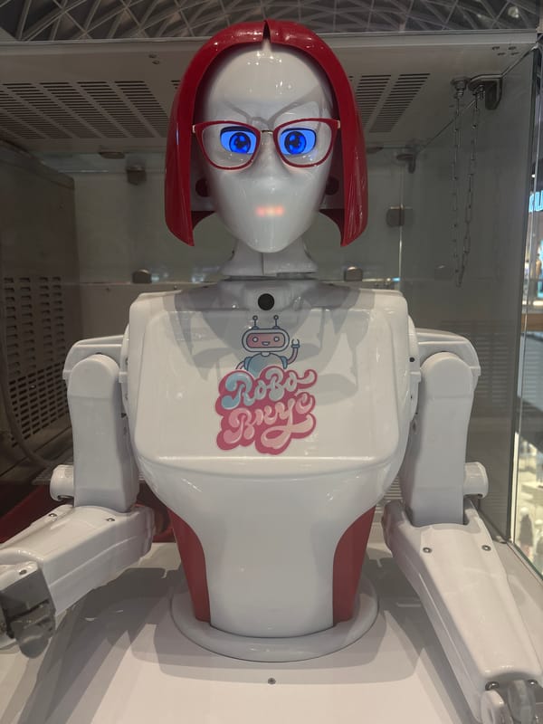 Robot display and portrait captured in Perm indoor locations