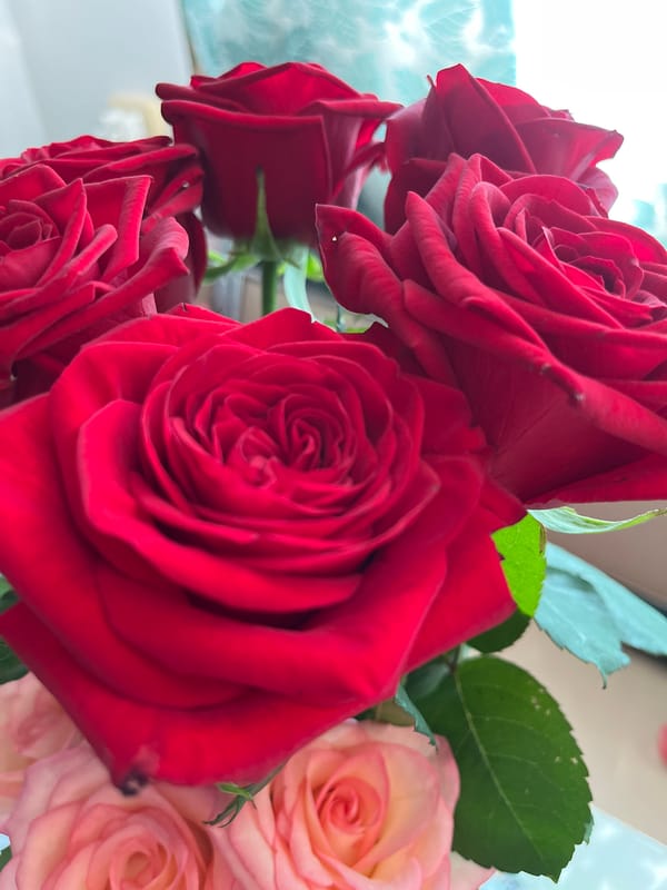Close-up angles on red and pink rose bouquets in Samara