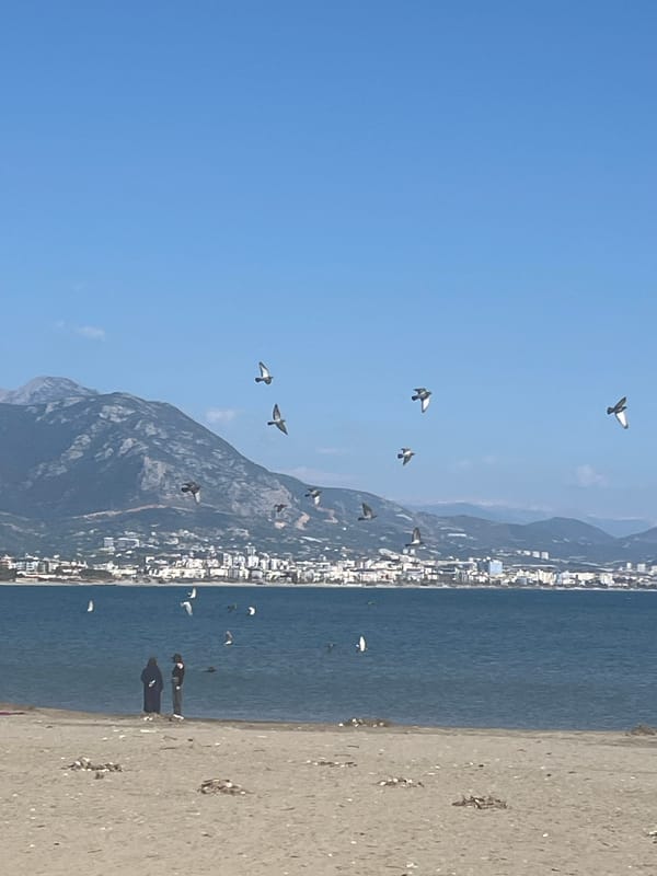 Witness documents sunny Alanya coastline and lighthouse views