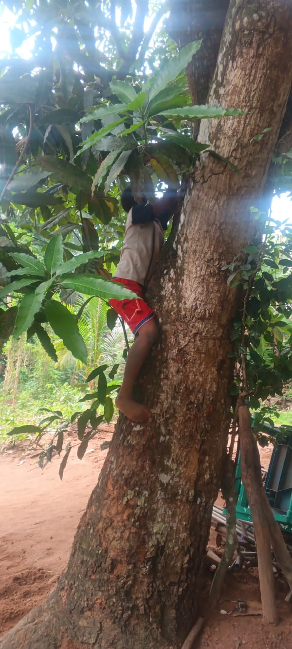Morning daily life scenes documented in Eziudo, Nigeria