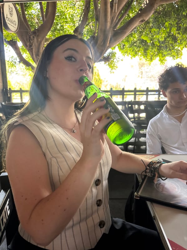 Social gatherings and laptop work observed in Puebla area