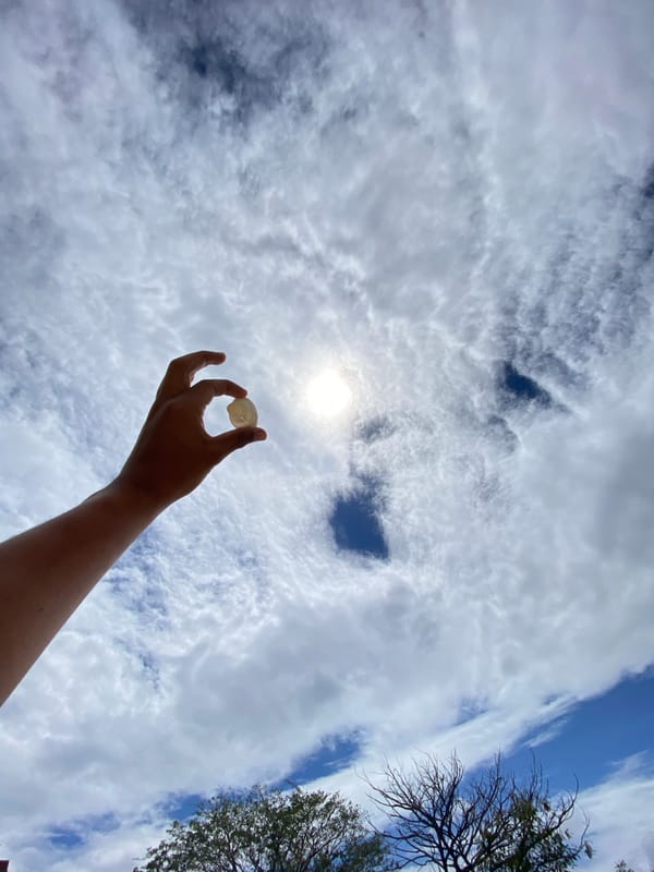 Person holds seashell in Juan Griego, Venezuela