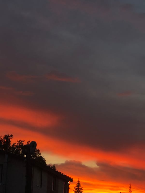 Kamchatka twilight skies and close-up botanicals, one morning