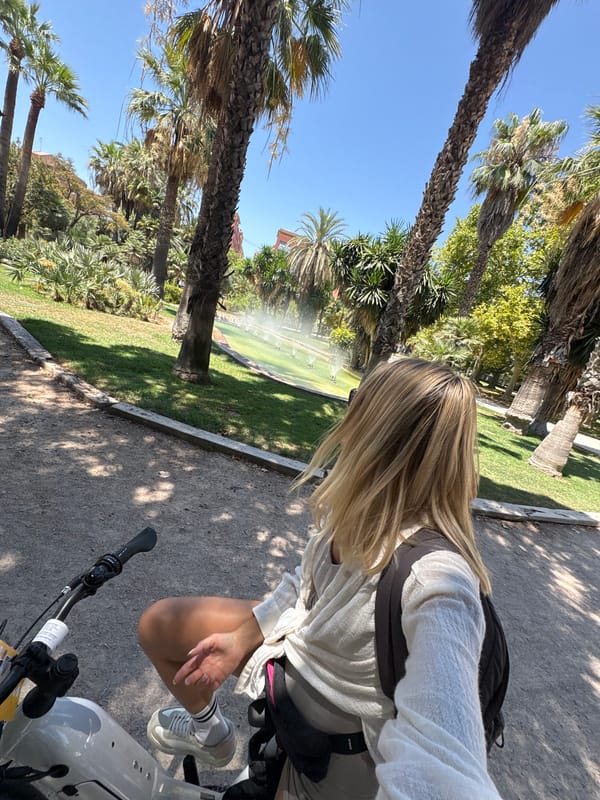 Afternoon stroll through a leafy Valencia city park