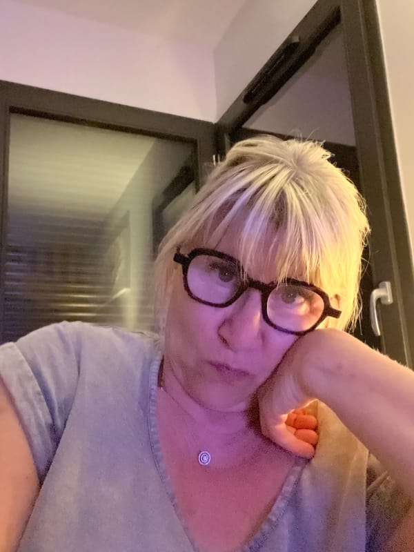 Cat photographed napping on couch in Chambœuf, France