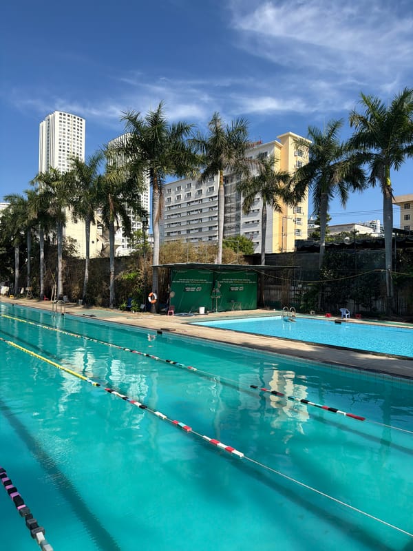 Morning scenes at Nha Trang swimming facility with dogs