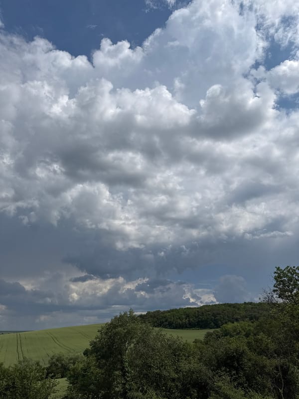 Overcast afternoon captured in Pleven, Bulgaria countryside scene